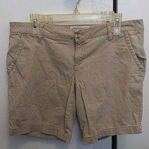 Khaki shorts